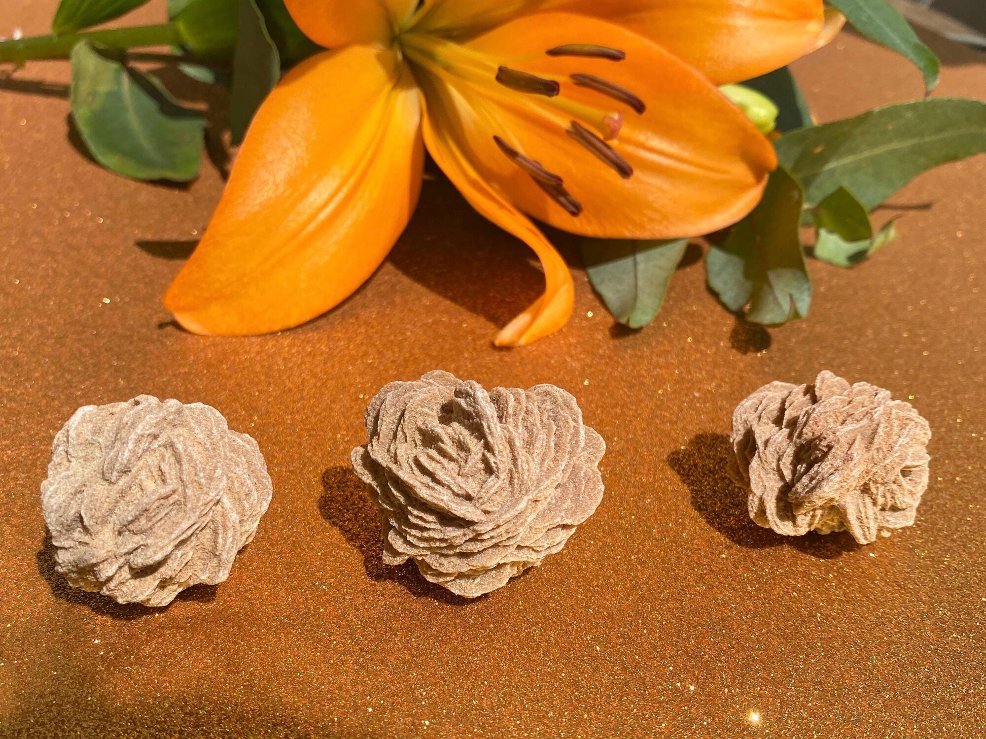 Moroccan desert rose selenite crystal